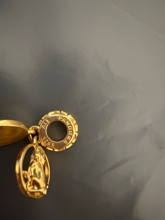 Charm pandora - photo numéro 5
