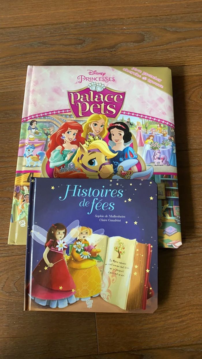 Lot livre princesse et fées