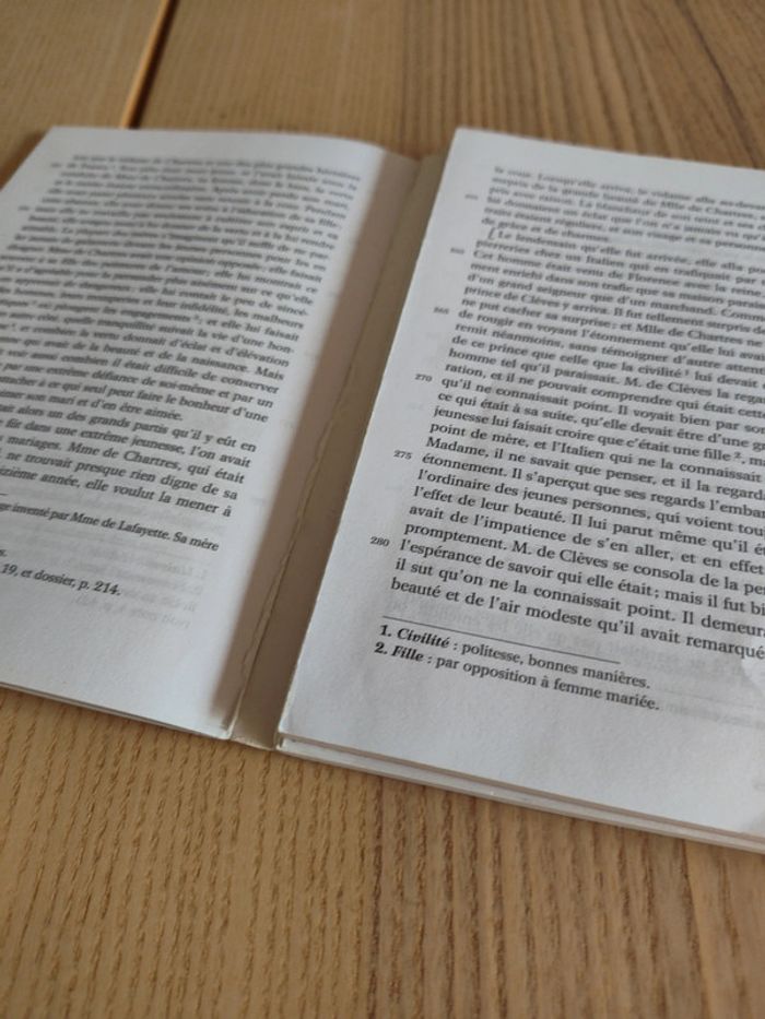 Étonnants classiques la princesse de Clèves madame Lafayette - photo numéro 4