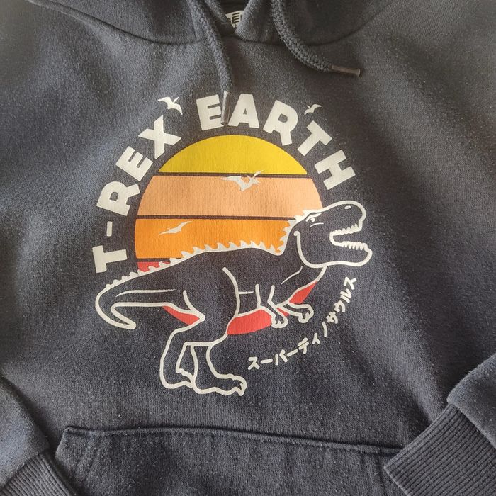 Sweat taille 8 ans - photo numéro 2