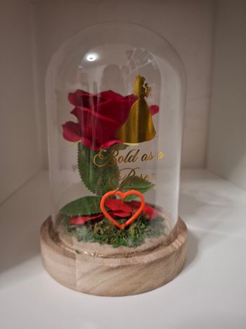 DISNEY PRINCESSES - Belle - Cloche Florale avec Lumière Néon