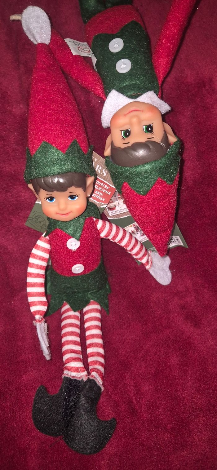 Duo lutins farceurs - photo numéro 2