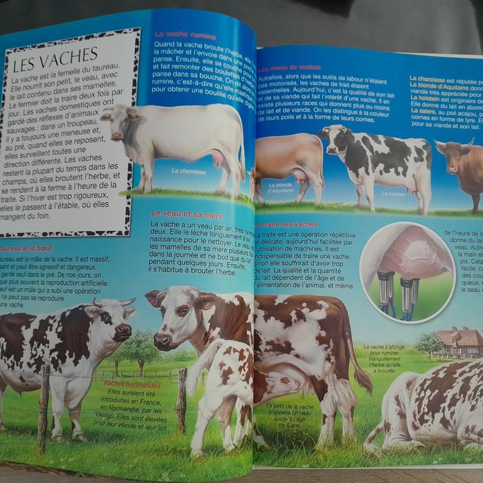la grande imagerie - La ferme - photo numéro 3