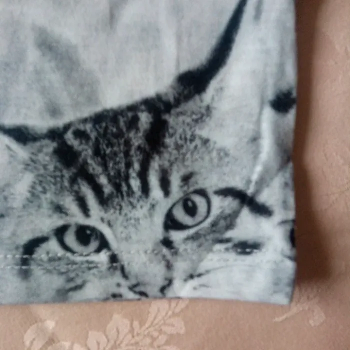 T-shirt - photo numéro 5