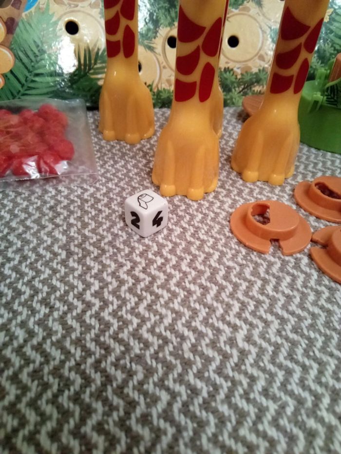 Giraf'fun - Megableu - photo numéro 16