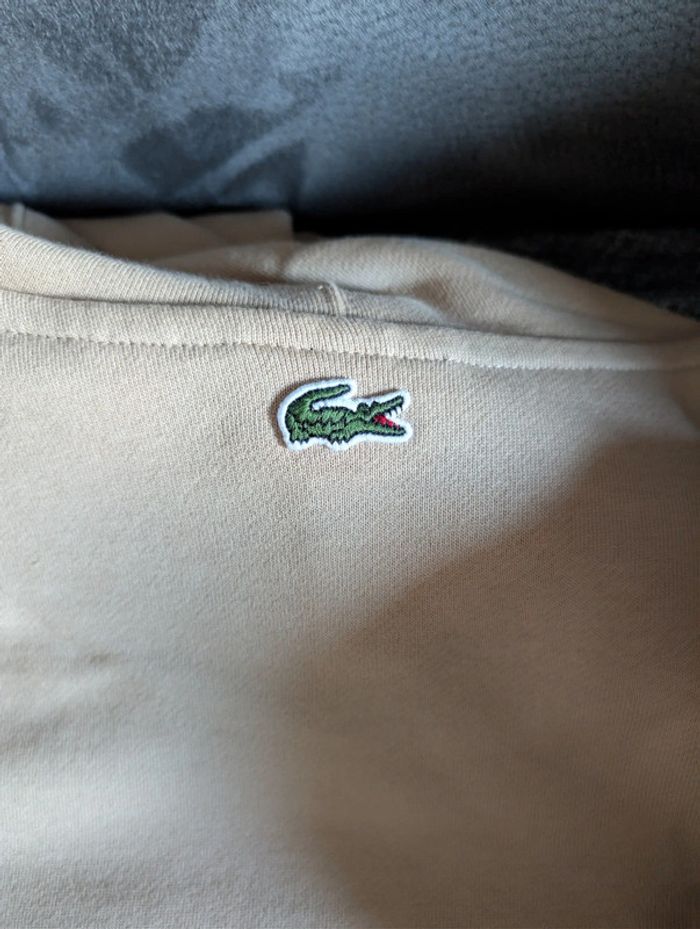 Sweat beige à capuche Lacoste 4XL neuf - photo numéro 4