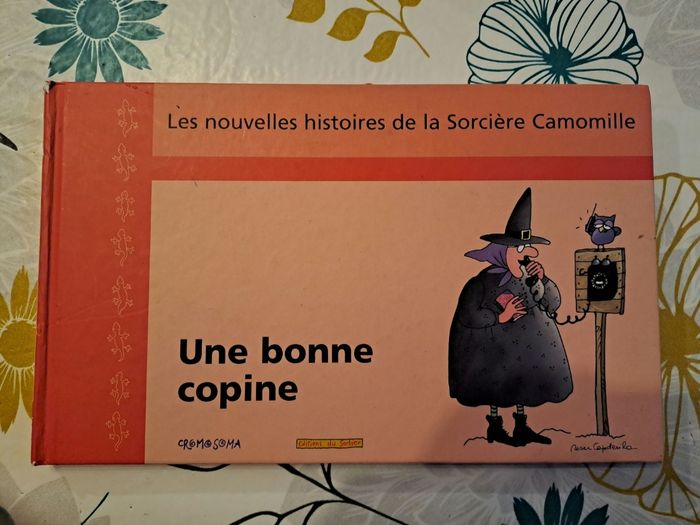 Les nouvelles histoires de la sorciere camomille, une bonne copine