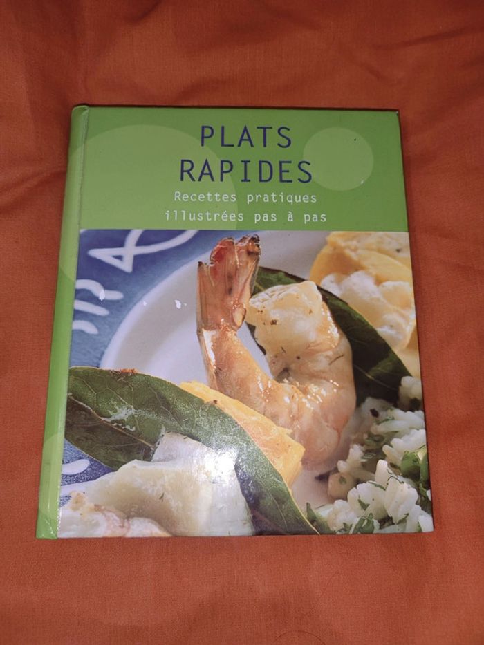 Livre recettes plats rapides recettes pratiques illustrées