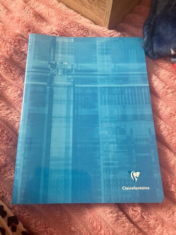 Cahier grand carreaux