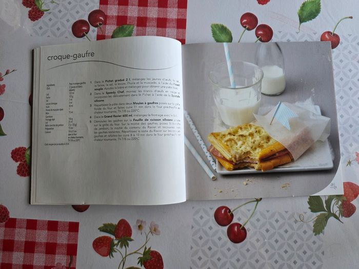 MOULE À GAUFRES TUPPERWARE EN SILICONE AVEC LE LIVRE 31 RECETTES - photo numéro 7