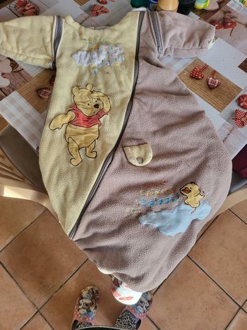 Gigoteuse hiver winnie o-6 mois