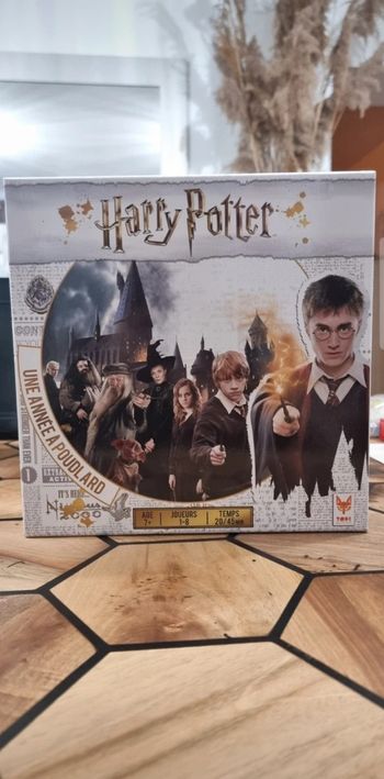 Jeu Harry Potter | une année à Poudlard
