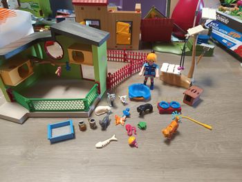 Playmobil maison des chats