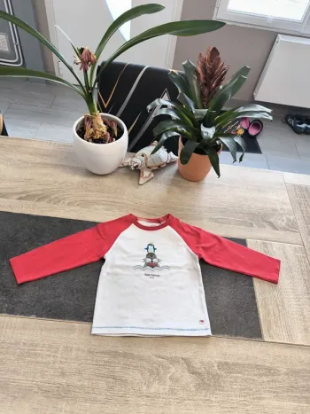 Tee-shirt garçon ml 18 mois LCDP