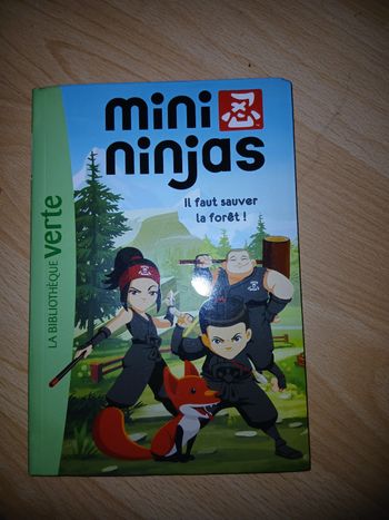 Mini ninja