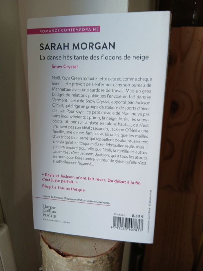 La danse hésitante des flocons de neige - photo numéro 2