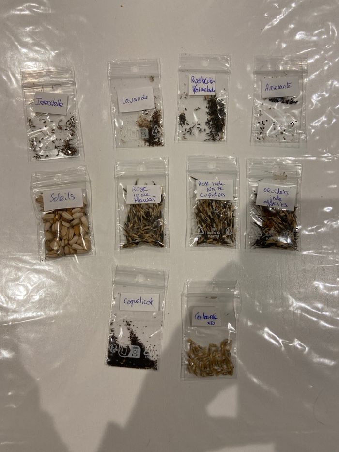 lot exceptionnel : 24 sachets de graines de fleurs – annuelles & vivaces - photo numéro 2