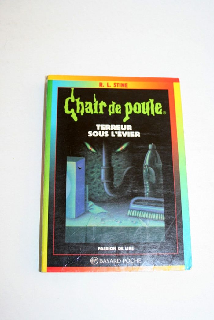 Chair de poule n°21 Terreur sous l'évier de R.L.Stine, Bayard