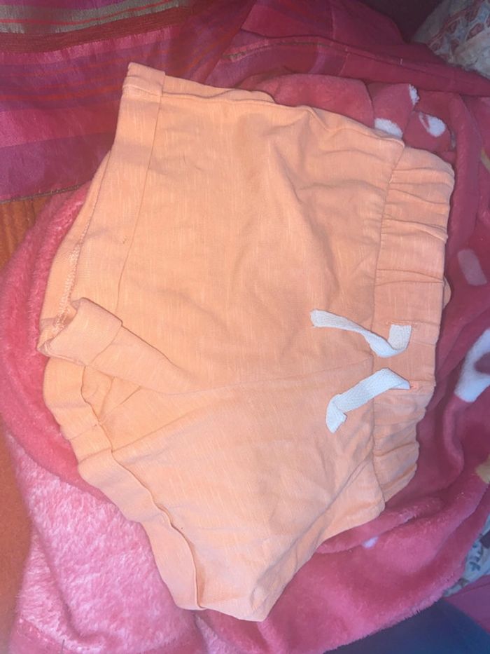 Lots shorts - photo numéro 4