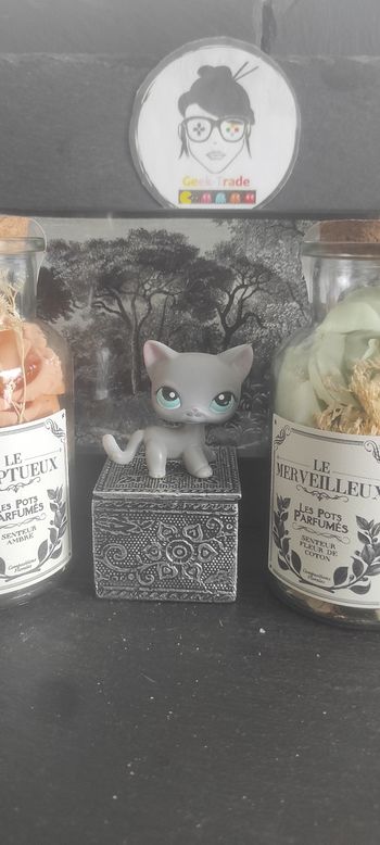 Littlest Petshop Pet Shop LPS Authentic  Authentique cat Shorthair European 126