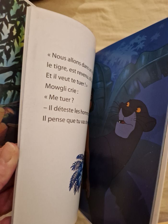 Le.livre de la jungle - photo numéro 3