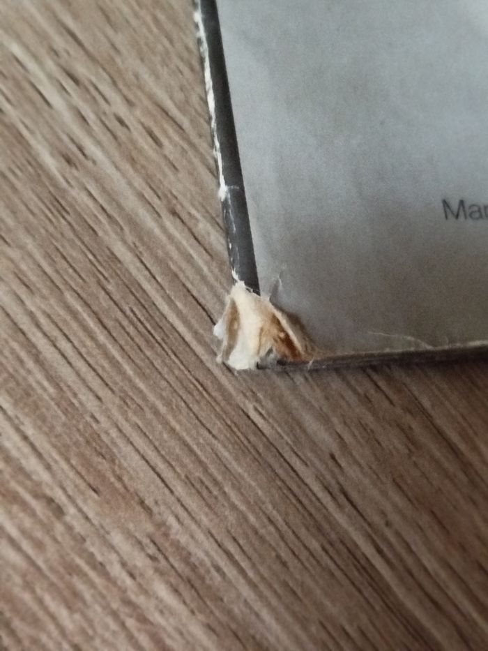 UEFA Champions League 1999/2000 - Album Panini complet - photo numéro 4