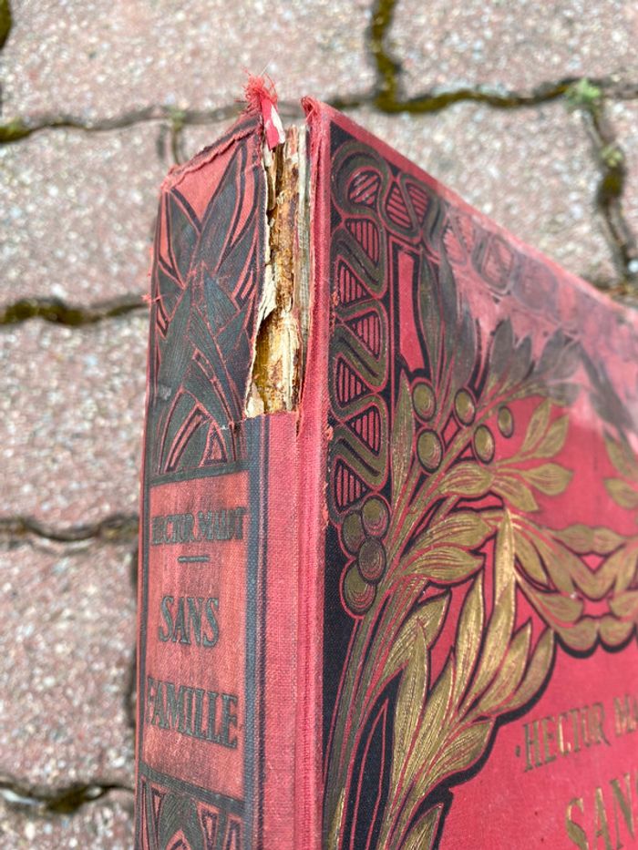 Livre Hachette Remi Sans Famille - photo numéro 2