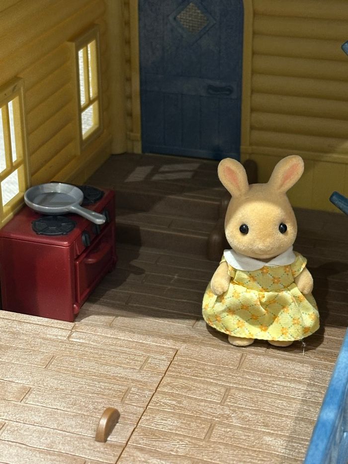 Chalet - photo numéro 5