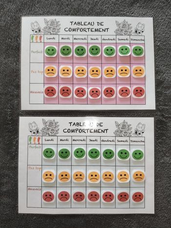2 fiches comportement