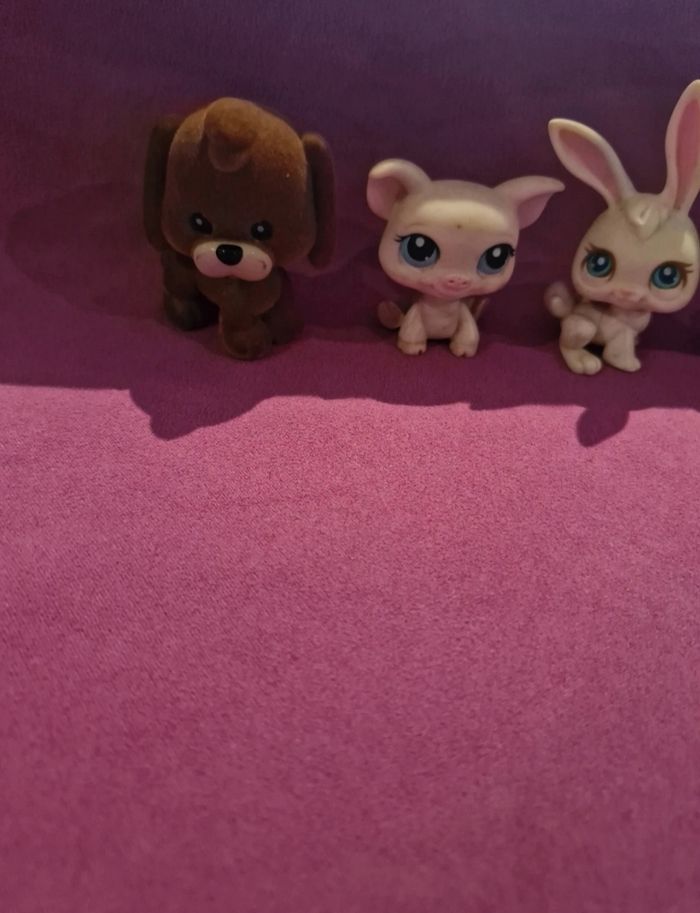 Petshop - photo numéro 2