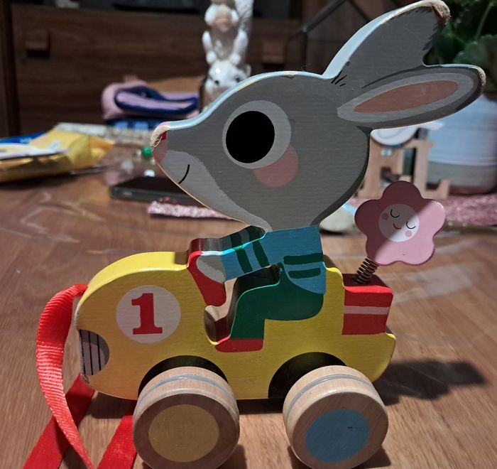 Lapin a tirer - photo numéro 3