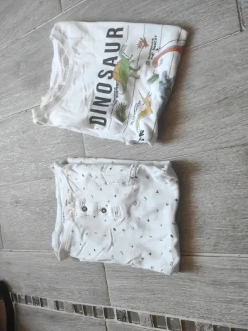 Lot 2 tee shirt taille 10 ans