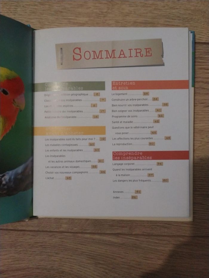 Les inséparables - photo numéro 3