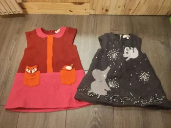 Lot 2 robes chaudes 9 mois du pareil au même très bon etat