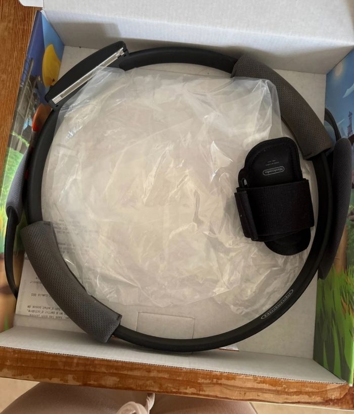 Ring Fit Adventure pour Nintendo Switch - photo numéro 3