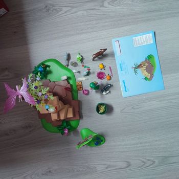 Playmobil 5447 fée meditrine avec animaux manque pierre précieuse