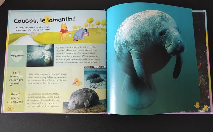 Livre enfant “La petite encyclopédie de Winnie – Les animaux marins” - photo numéro 7