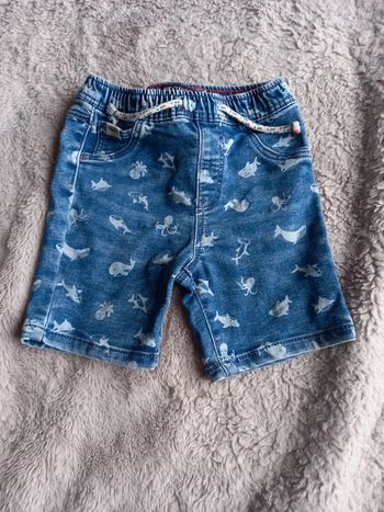 Short animaux marin