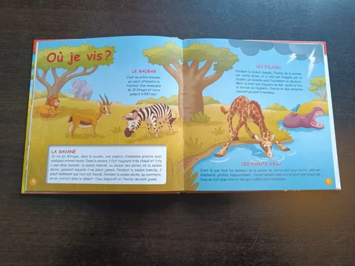 Livre LE LION - photo numéro 4