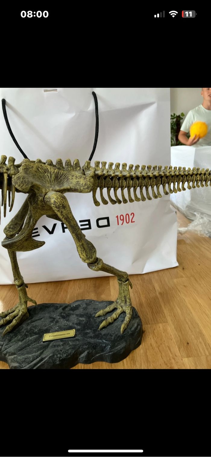 Squelette tyrannosaurus Rex - photo numéro 6
