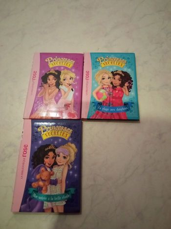 Livres princesse secrètes