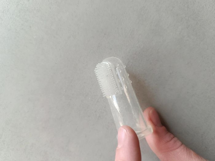 Lot de 4 jeux de dentition - photo numéro 5