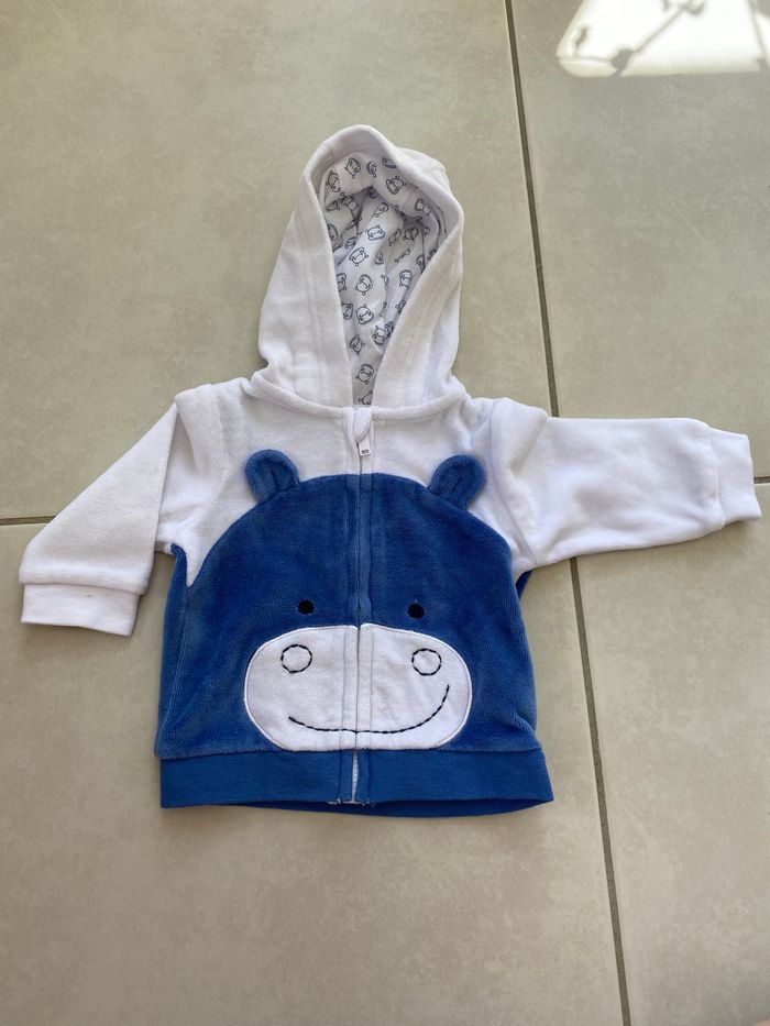 Ensemble hippopotame - photo numéro 2