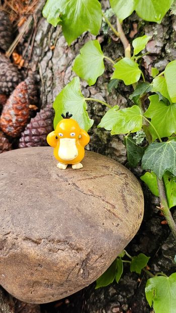 Super figurine Pokemon Nintendo Psykokwak