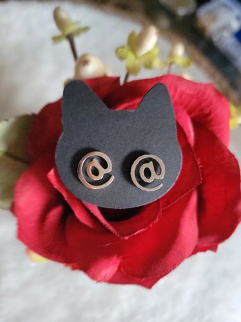 Boucles d oreilles @