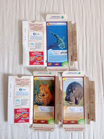 Lot de 3 cartes Merveilles du Monde