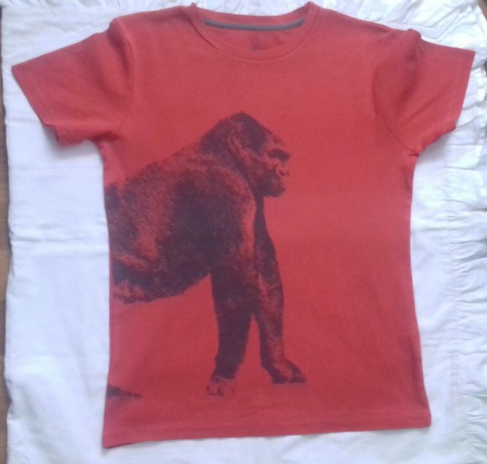 1 tee-shirt manche courte garçon 14 ans - photo numéro 1