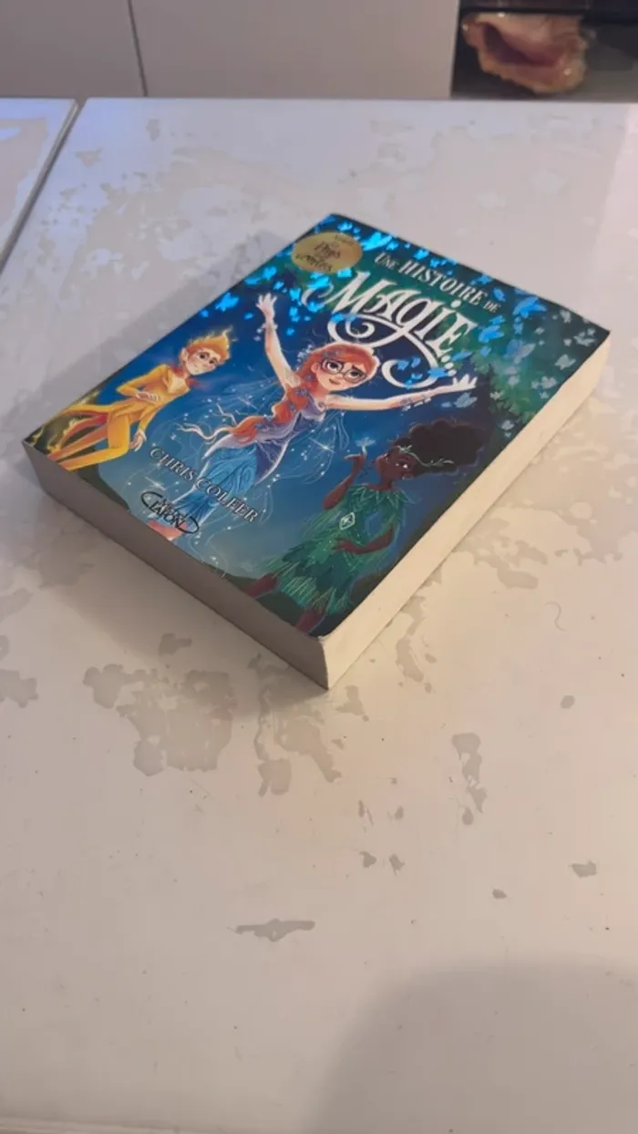 📚 Une Histoire de Magie – Chris Colfer - photo numéro 2