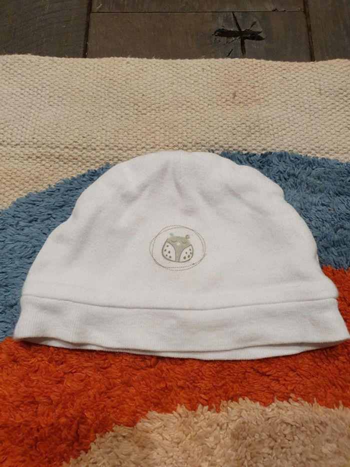 bonnets - photo numéro 2