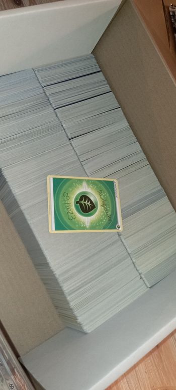 Lot de cartes Pokémon